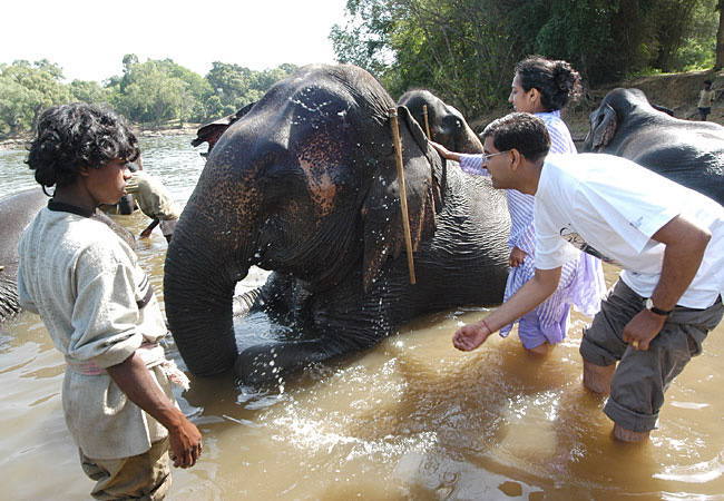 image of Dubare Elephant Bathing Spot